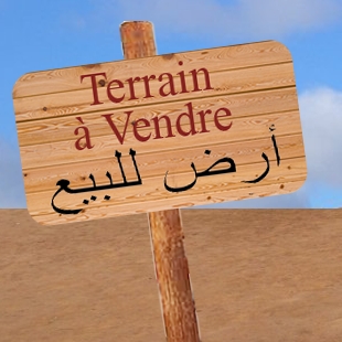أرض ساحلية جاهزة للبناء في المغرب