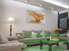 LED downlight, high lumens lighting fixture